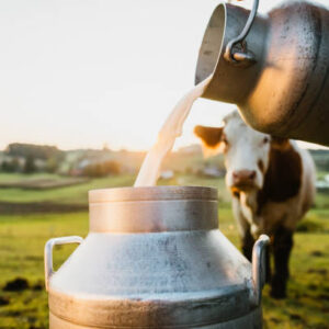 Milk
